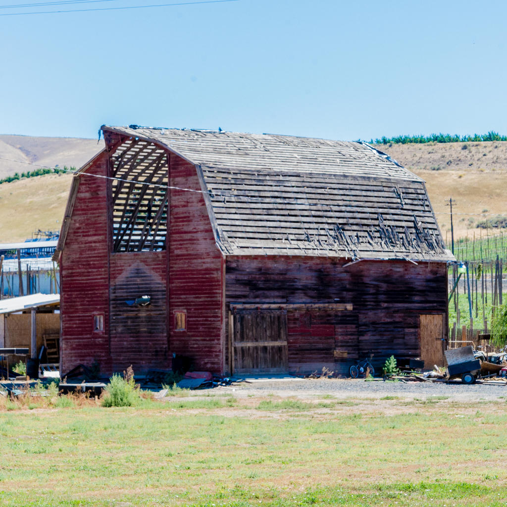 DSC_5029.jpg