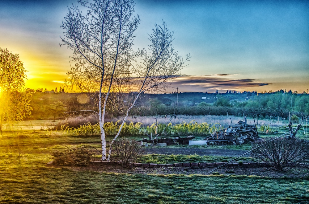 DSC_5032-Edit-Edit.jpg