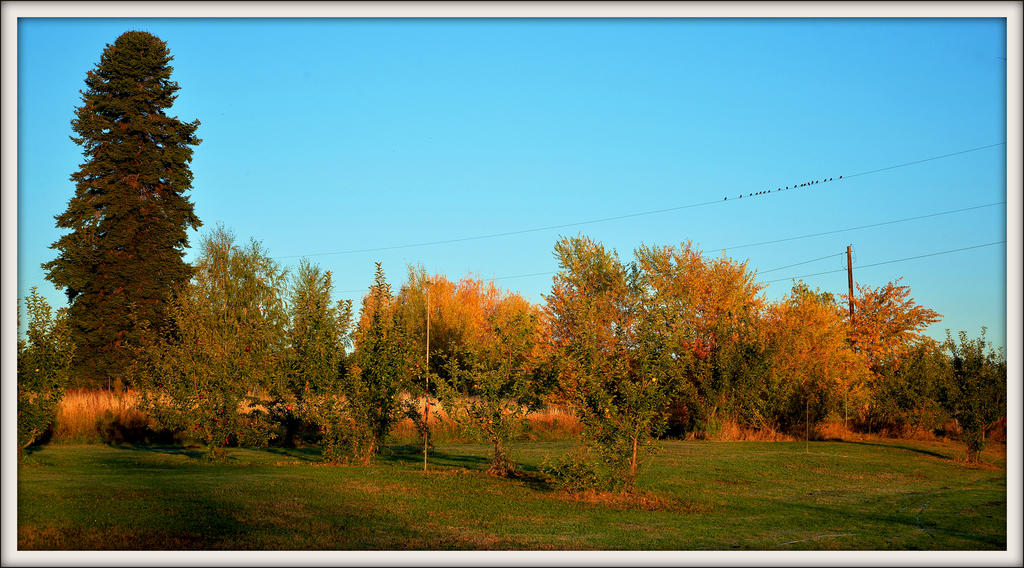 DSC_5033.jpg