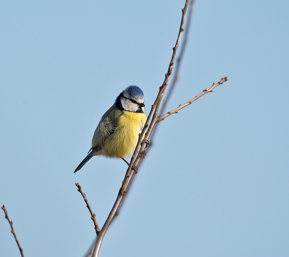 DSC_5034.jpg