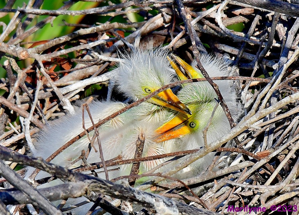 DSC_5034_001.JPG