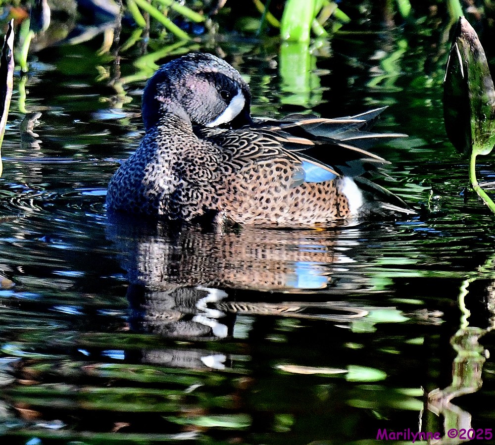 DSC_5034_001.JPG