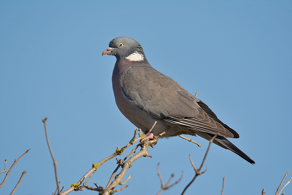 DSC_5039.jpg