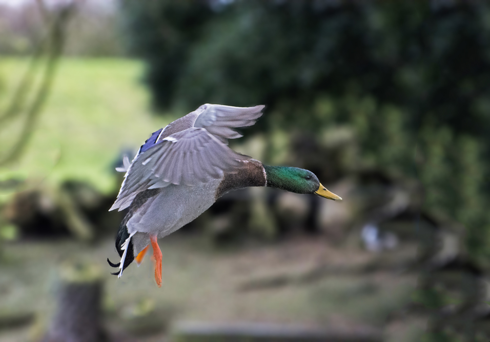 DSC_5039.jpg
