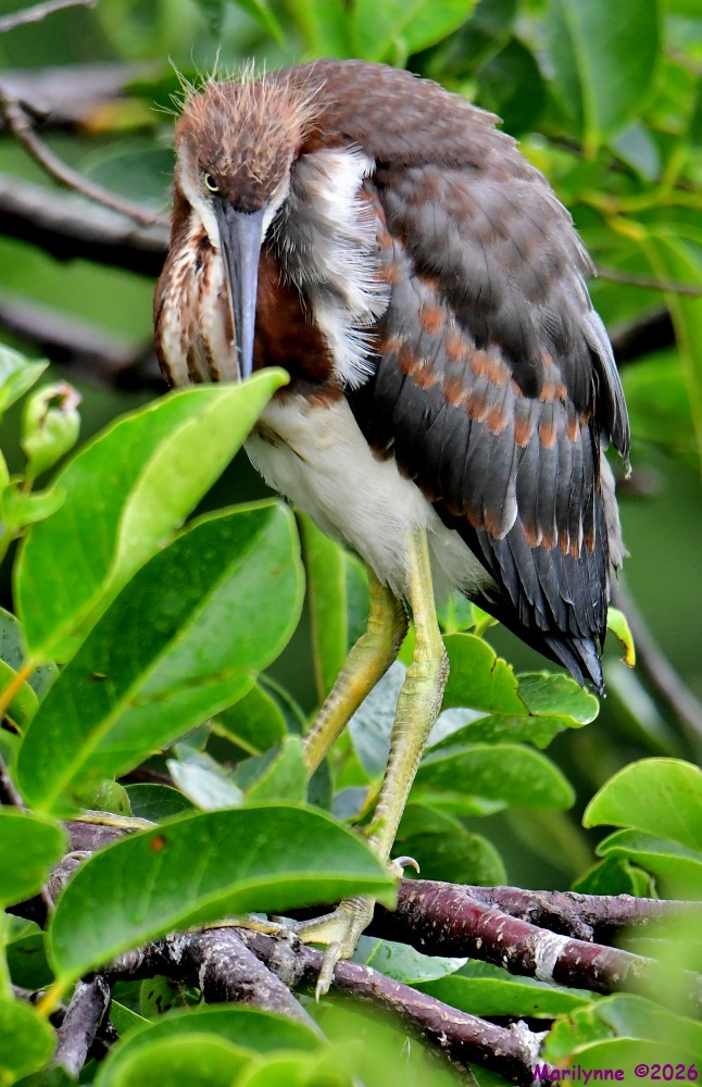 DSC_5040_001.JPG