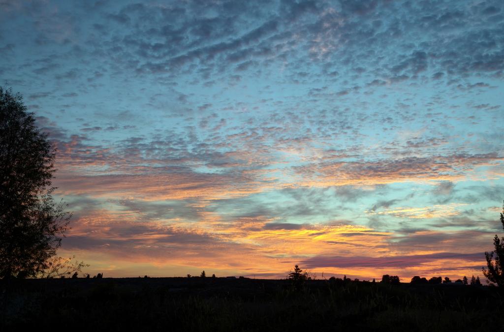 DSC_5041.jpg