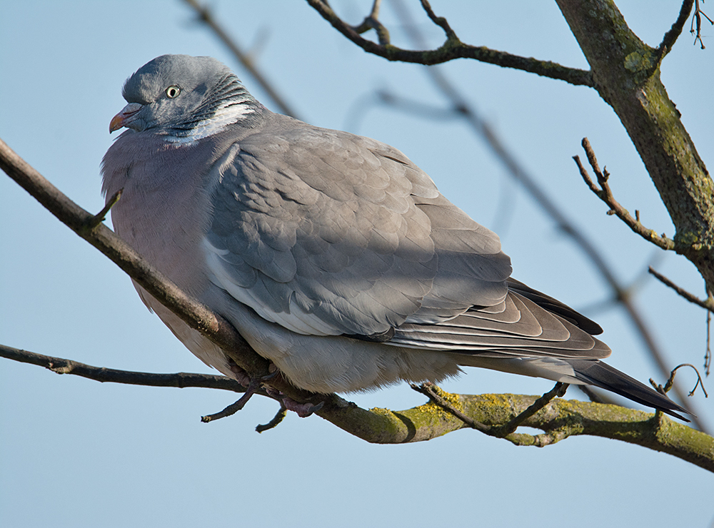 DSC_5042.jpg