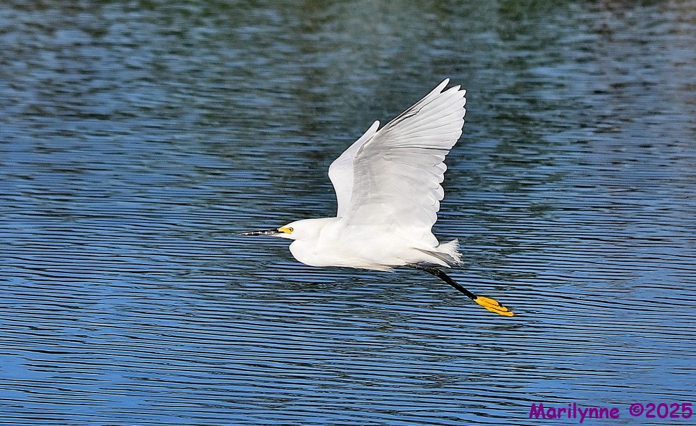 DSC_5042_001.JPG