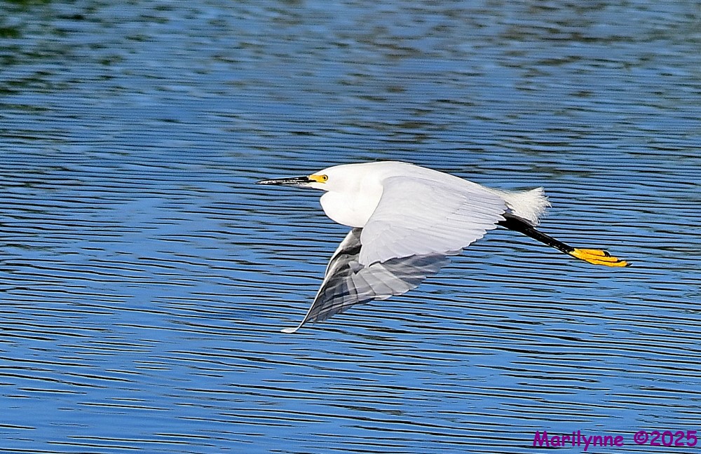 DSC_5043_001.JPG