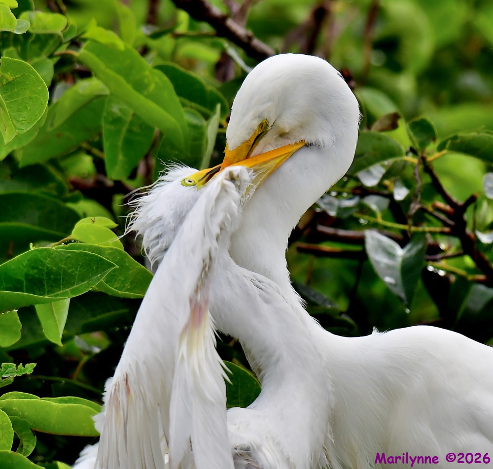 DSC_5043_001.JPG
