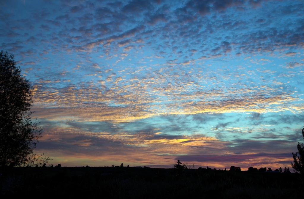 DSC_5044.jpg