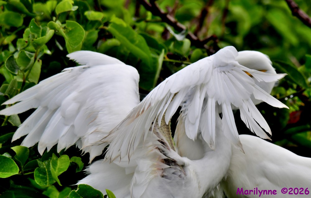 DSC_5045_001.JPG