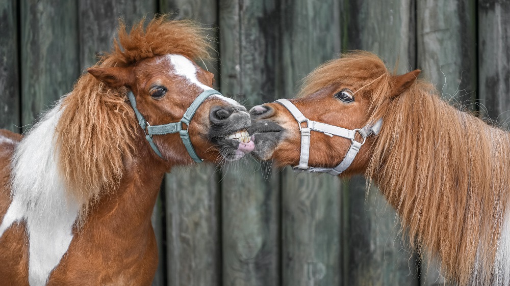 DSC_5048-Edit.jpg DSC_5048-Edit.jpg