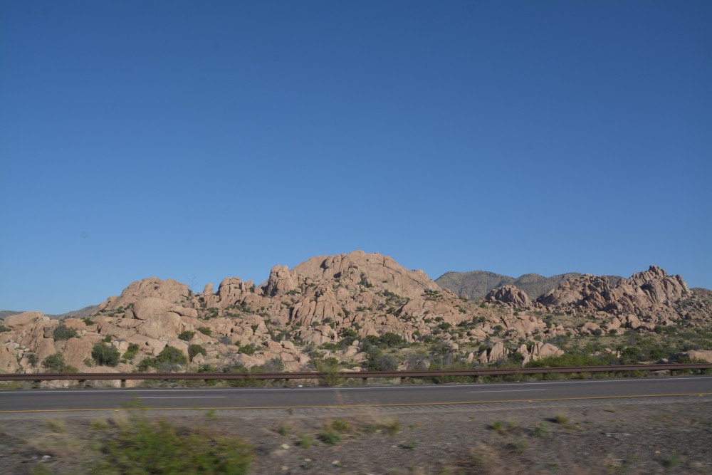 DSC_5049.JPG