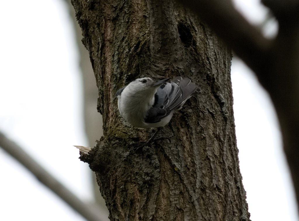 DSC_5050.jpg