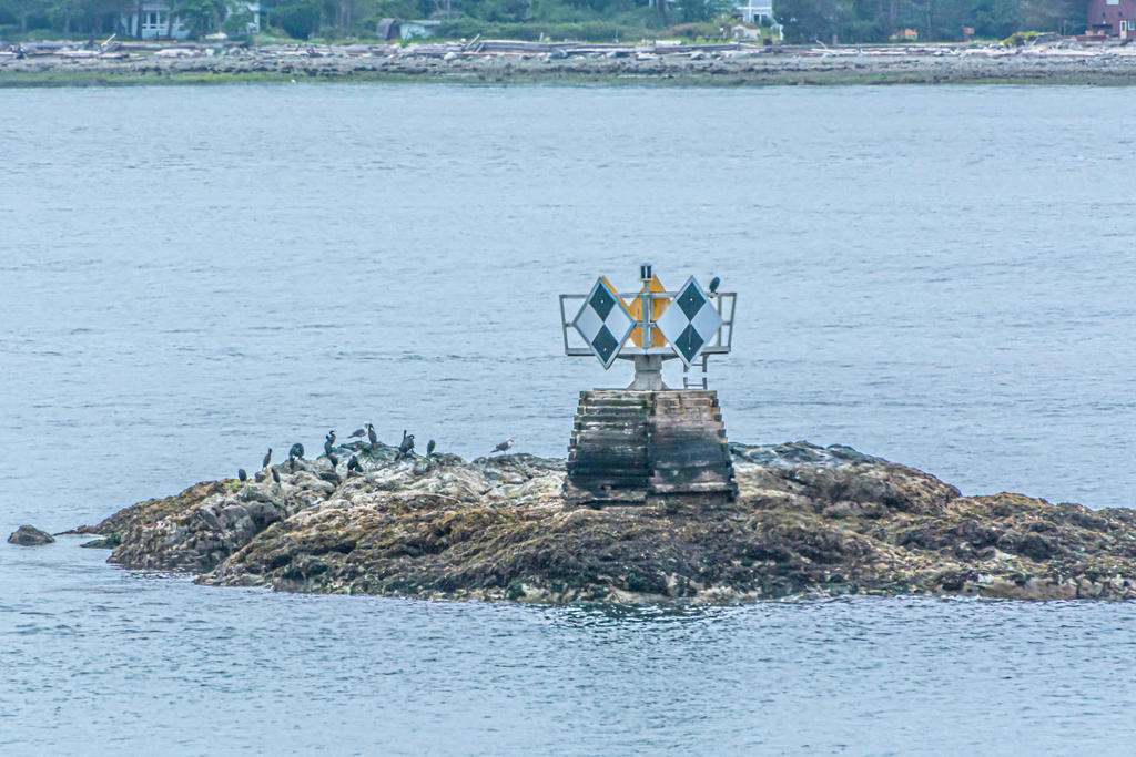 DSC_5050.jpg