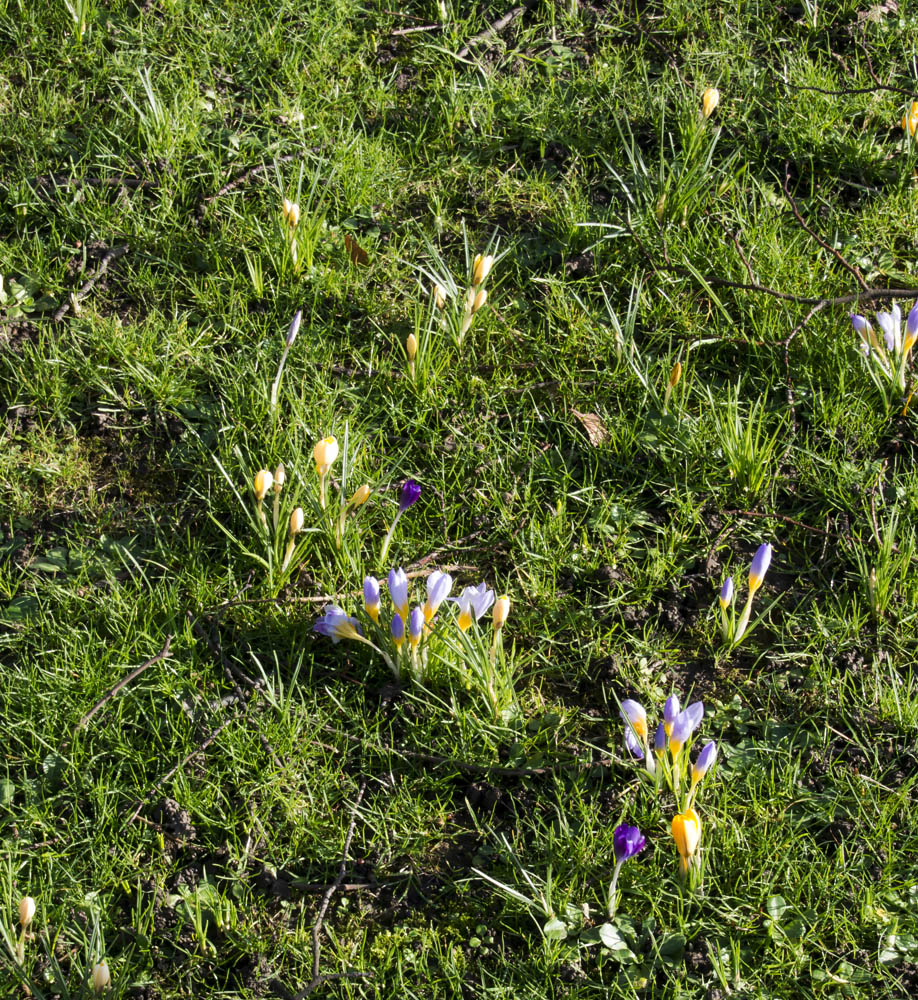 DSC_5052.jpg