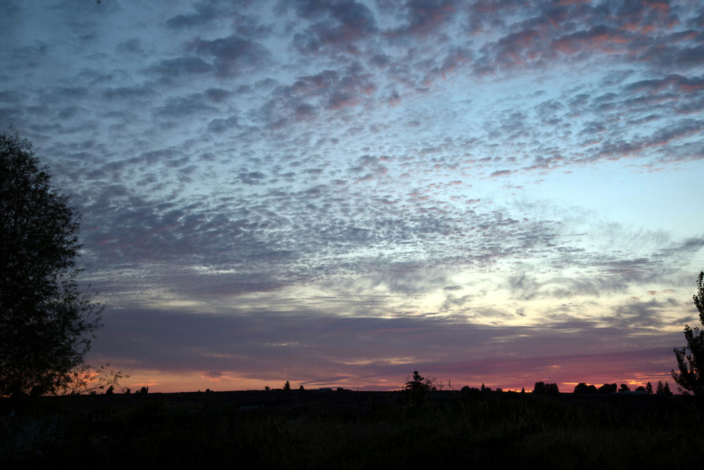 DSC_5053.jpg