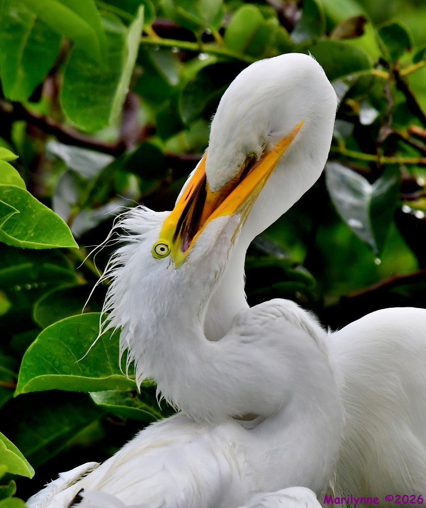 DSC_5053_001.JPG