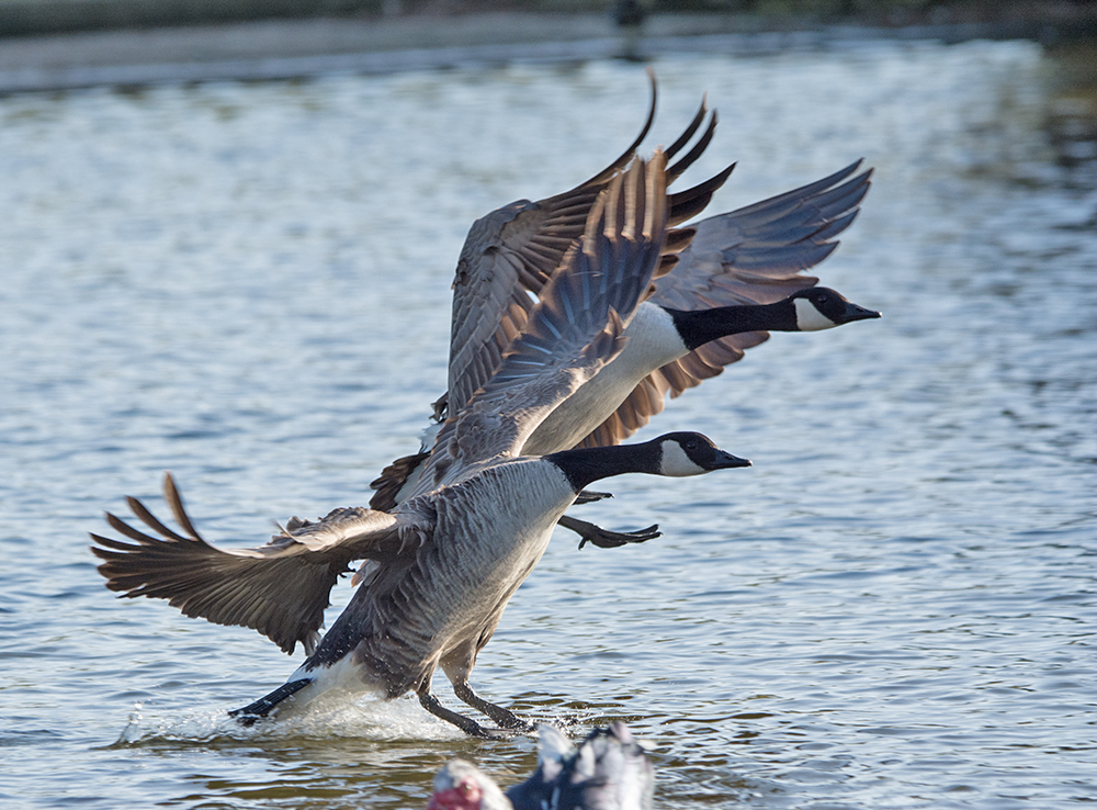 DSC_5055.jpg