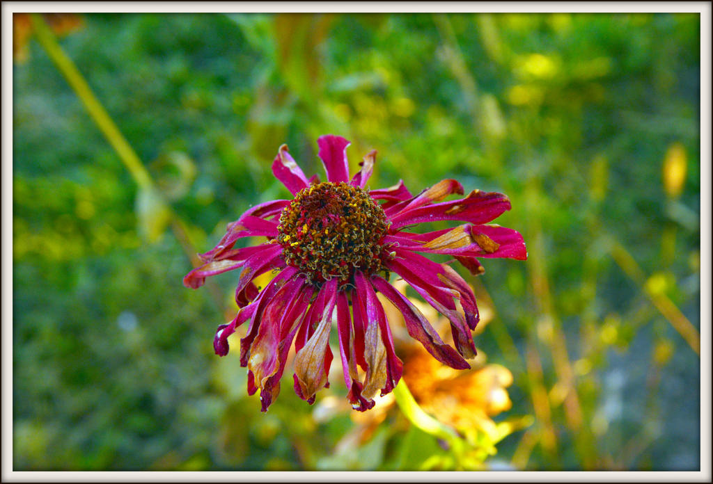 DSC_5055.jpg