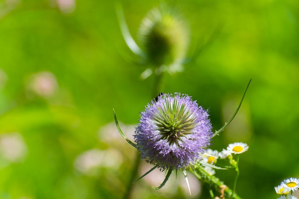 DSC_5057.jpg