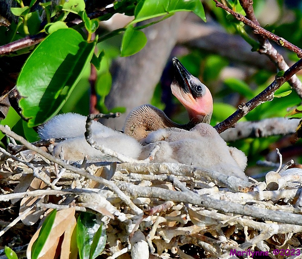 DSC_5057_001.JPG