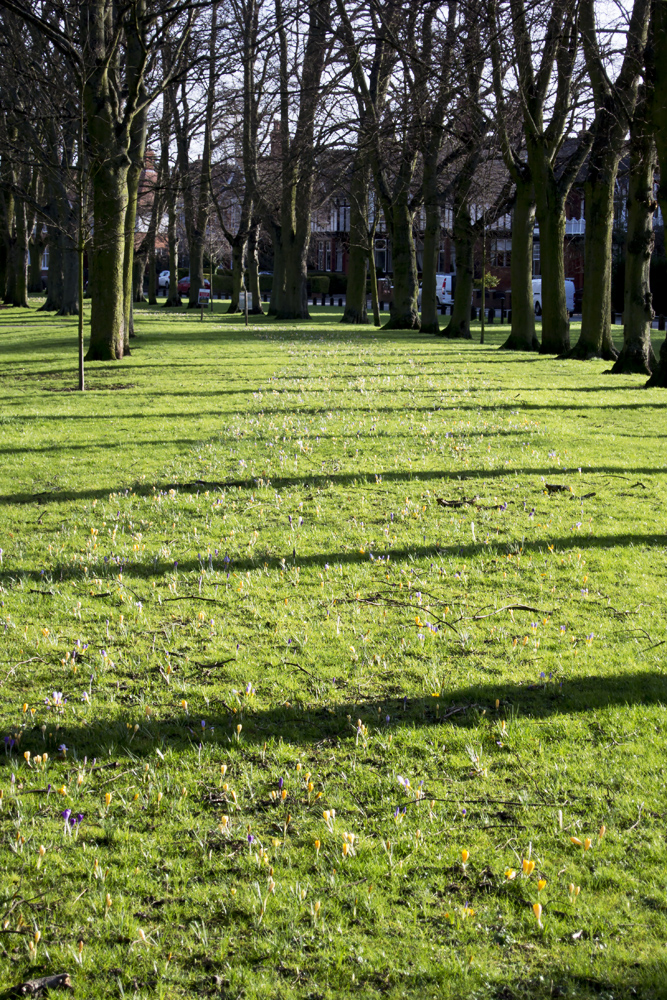 DSC_5058.jpg