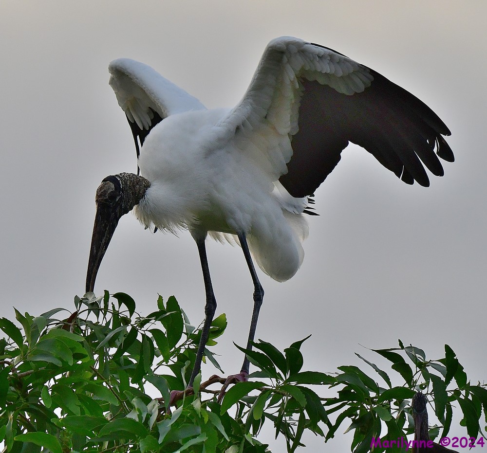 DSC_5060_001.JPG