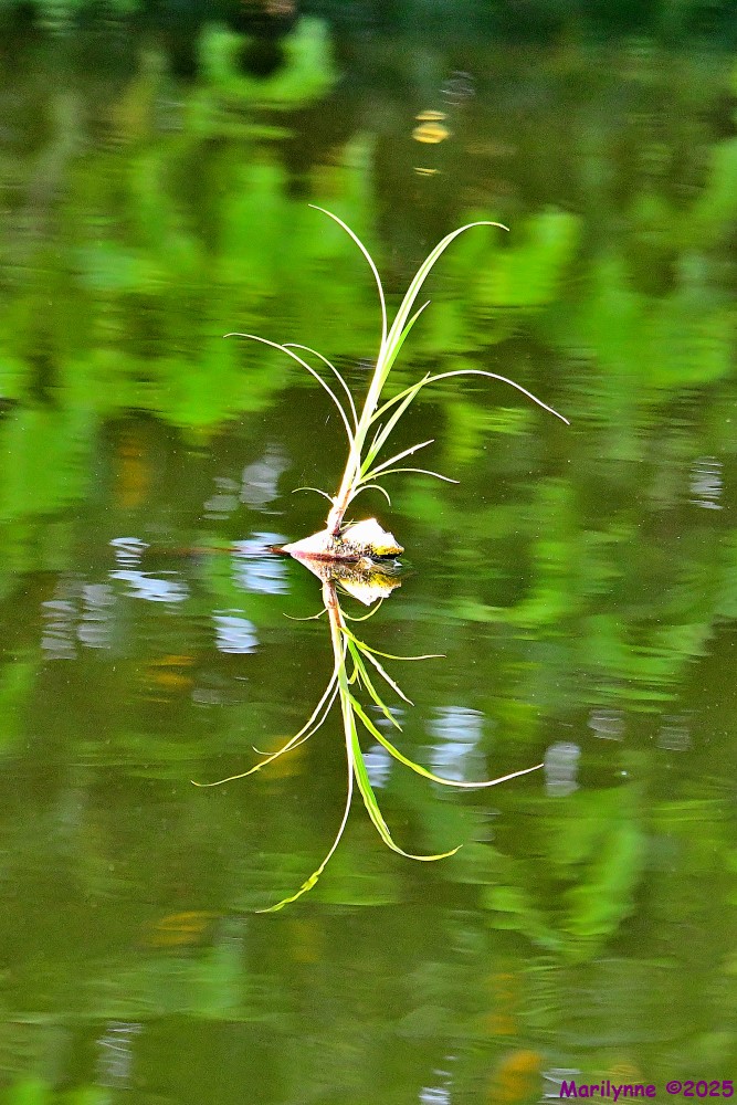 DSC_5060_001.JPG