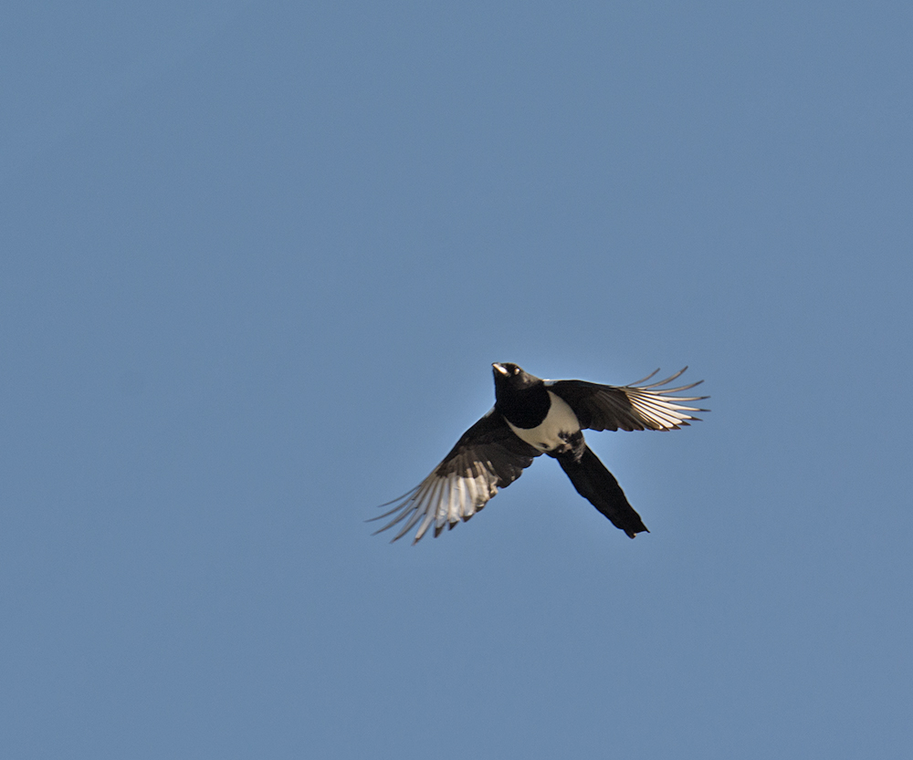 DSC_5061.jpg