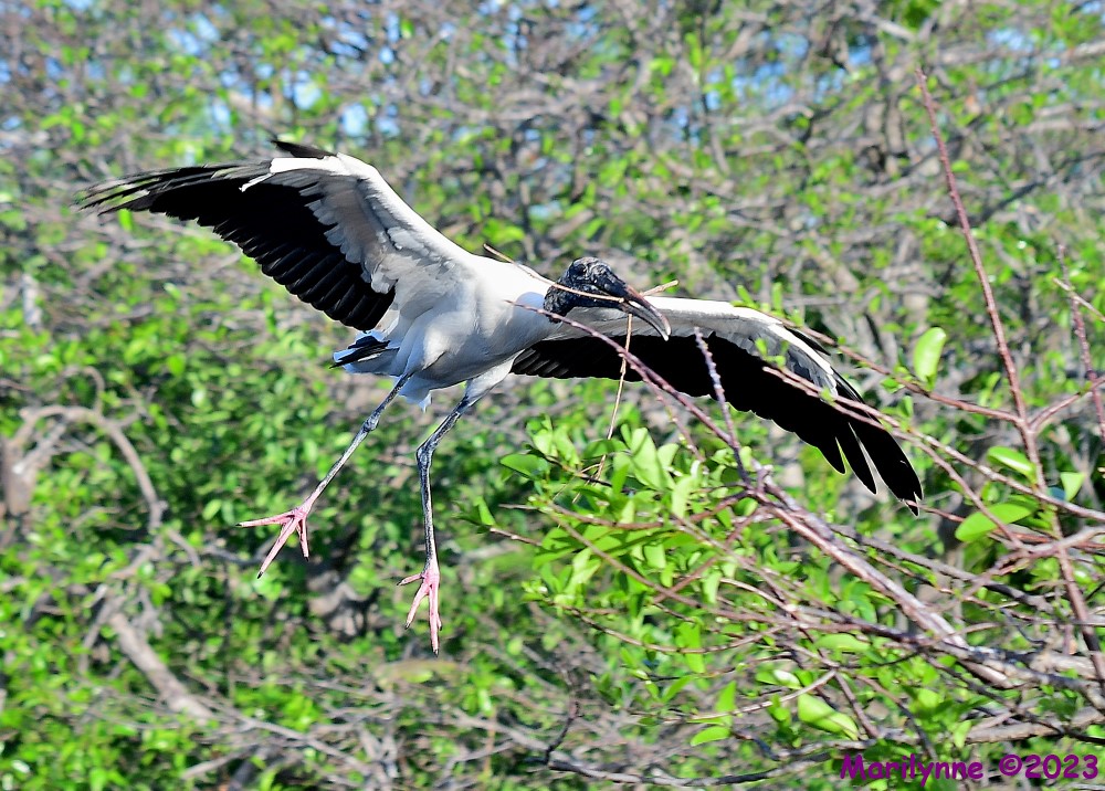 DSC_5061_001.JPG
