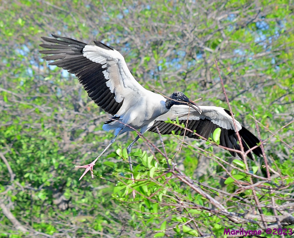 DSC_5062_001.JPG