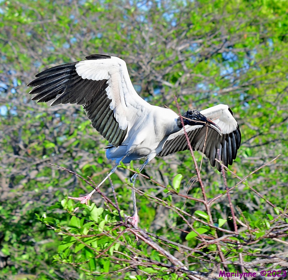 DSC_5063_001.JPG