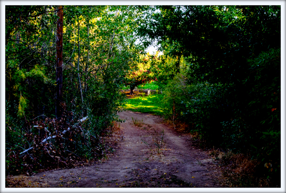 DSC_5066.jpg