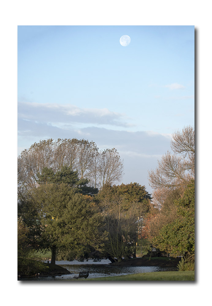 DSC_5072.jpg