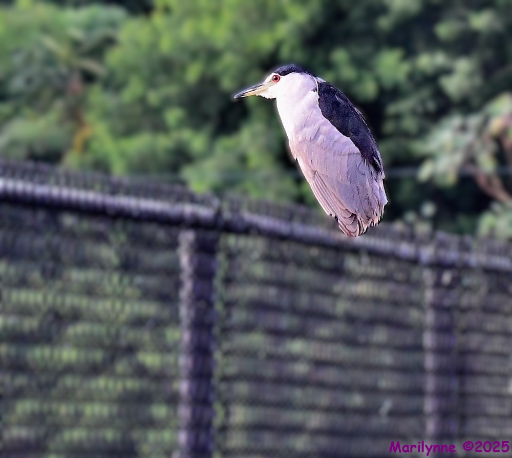 DSC_5072_001.JPG