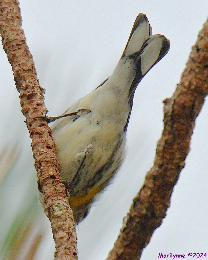DSC_5076_001.JPG