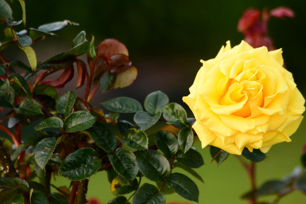 DSC_5079.jpg