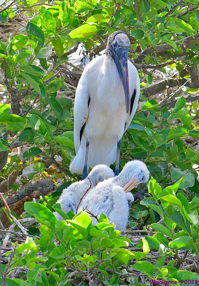 DSC_5080_001.JPG