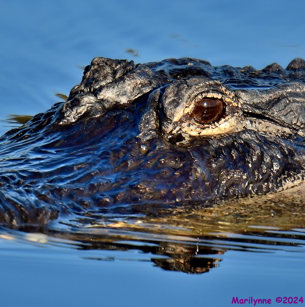 DSC_5080_001.JPG