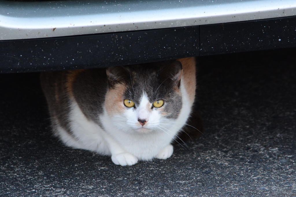 DSC_5081.jpg
