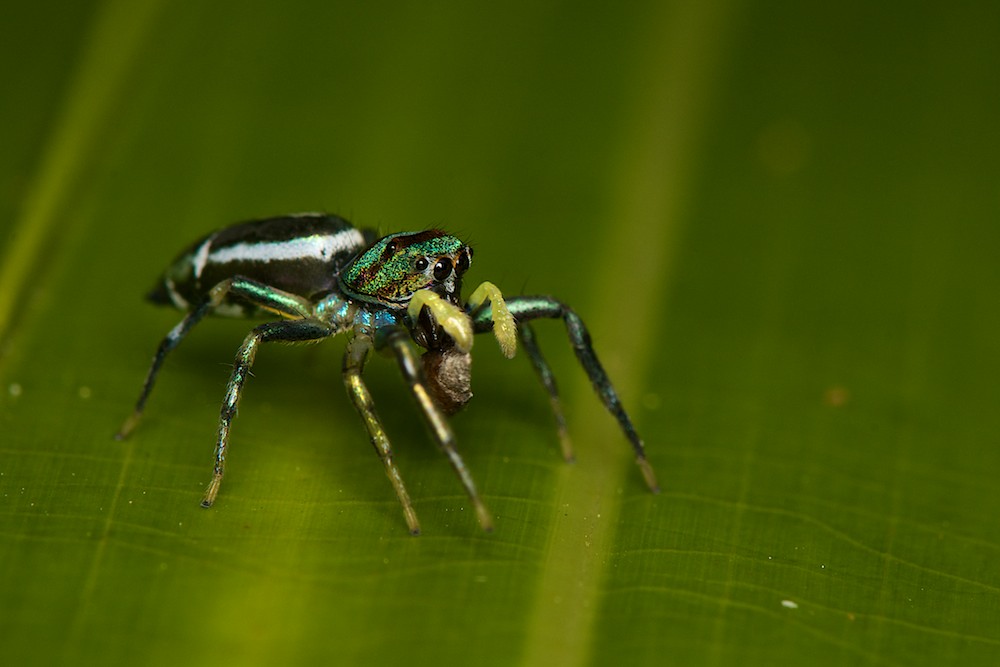 DSC_5081.jpg