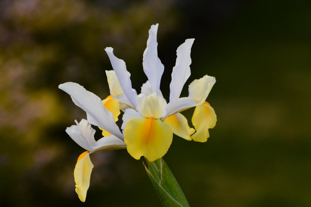 DSC_5083.jpg