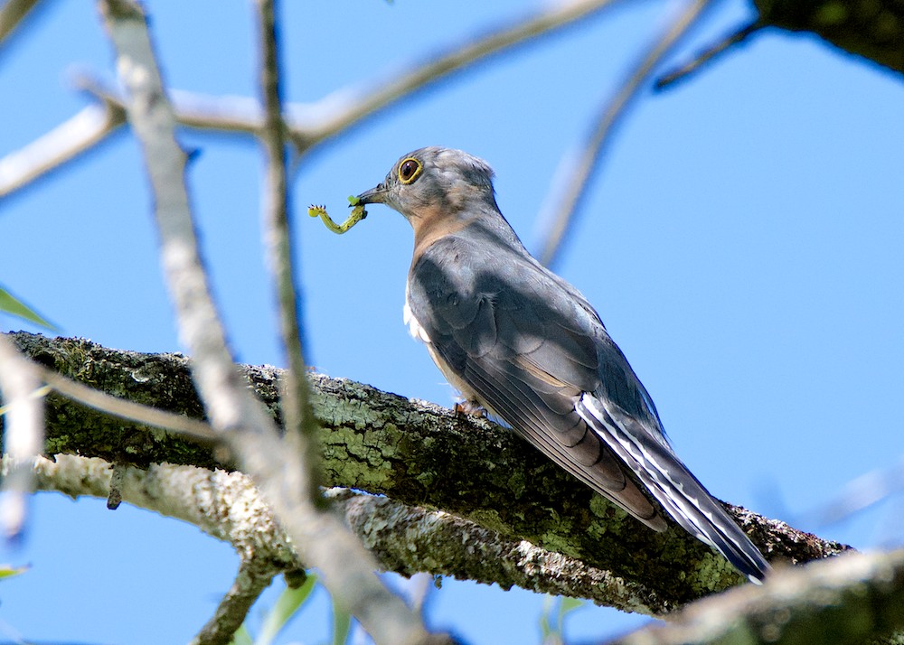 DSC_5086.jpg