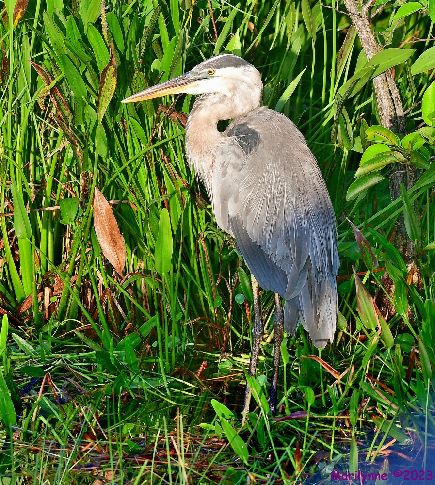 DSC_5089_stitch_001.JPG