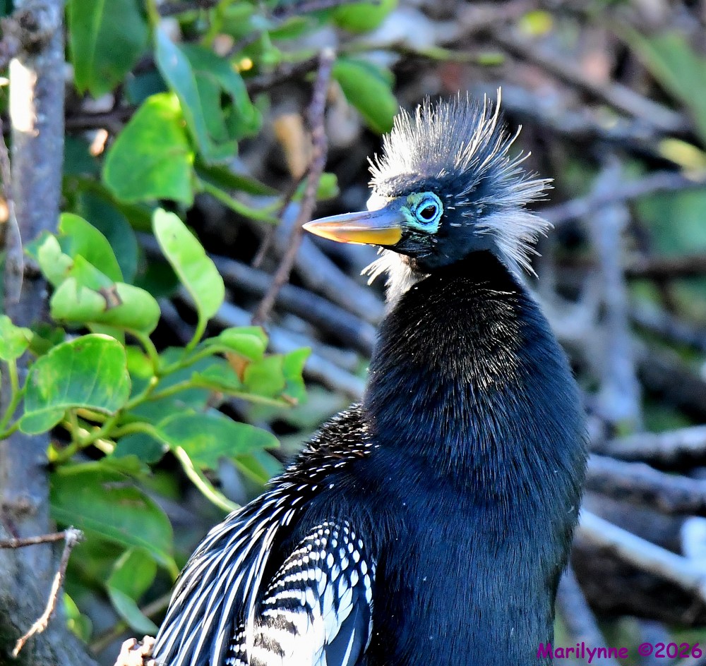 DSC_5094_001.JPG