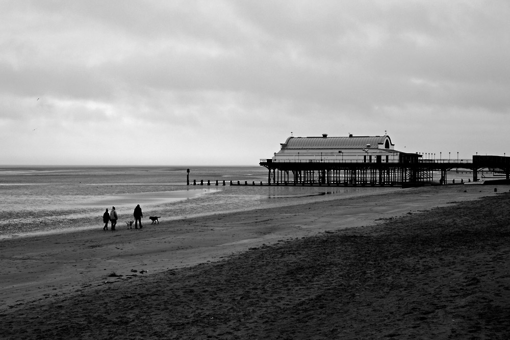 DSC_5101.jpg