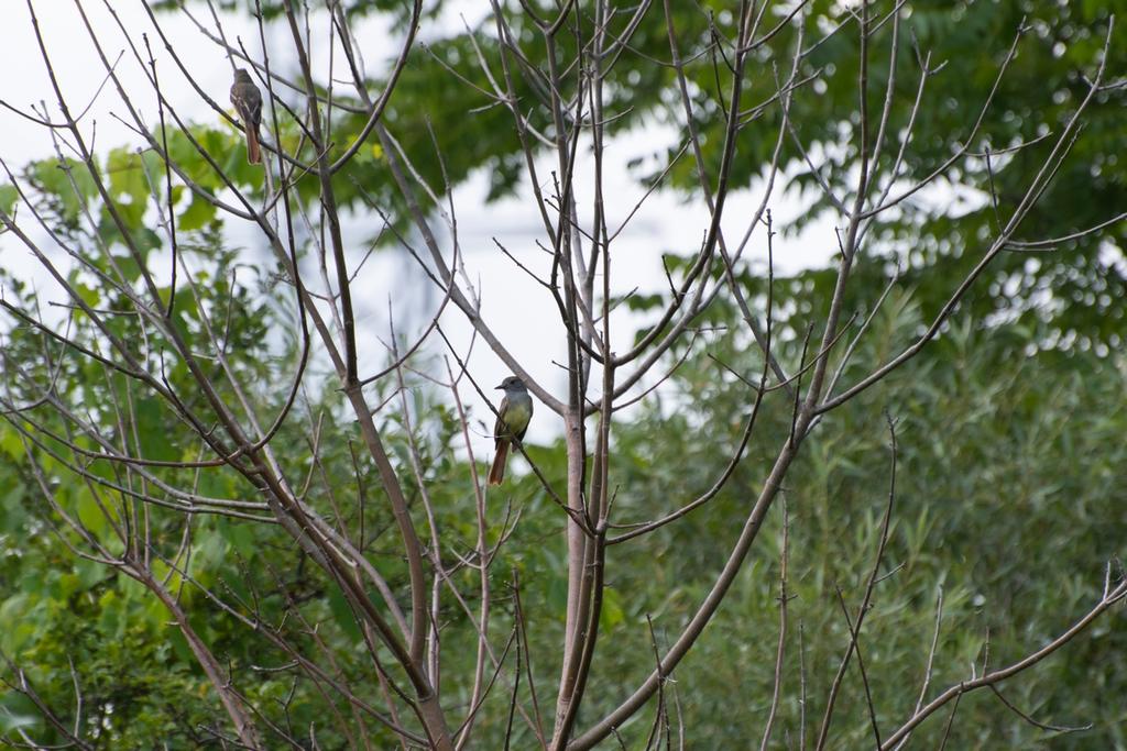 DSC_5103.jpg
