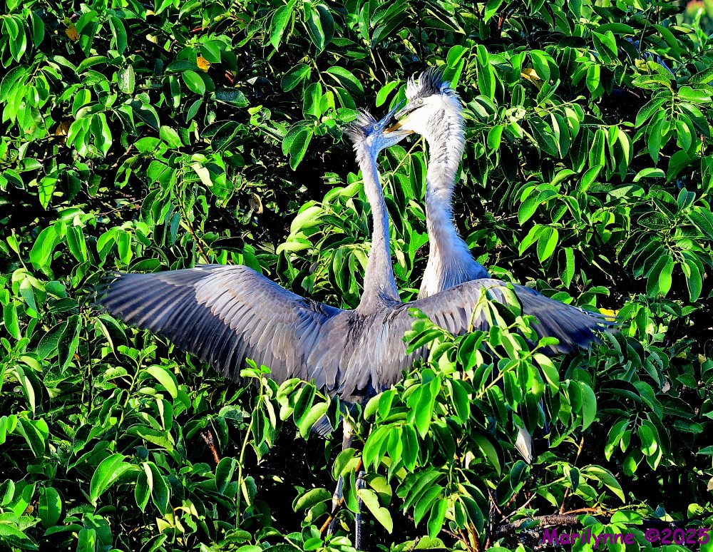 DSC_5104_001.JPG
